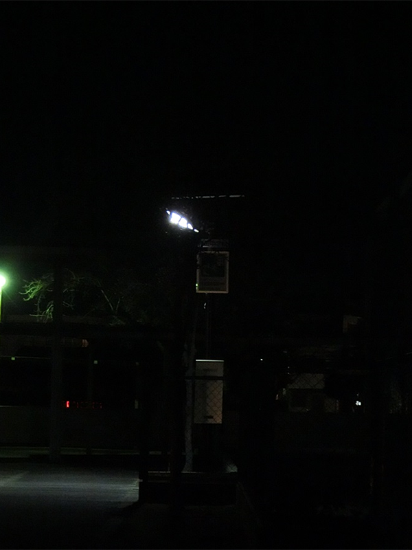 鎌田中学校　敷地内2